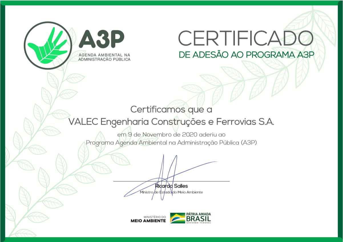 certificado A3P 1 foto