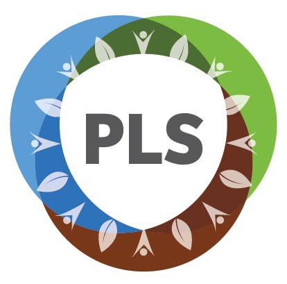 psl 1