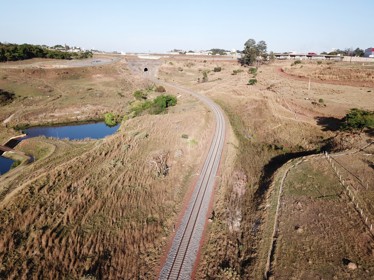 VALEC inicia plantio de mais de 4 milhões de mudas para recuperação do Cerrado